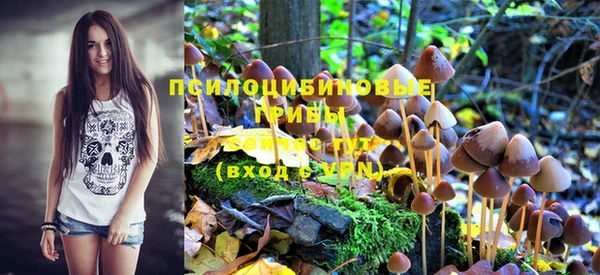 mix Дмитров