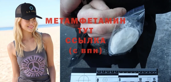 прущие грибы Дмитриев