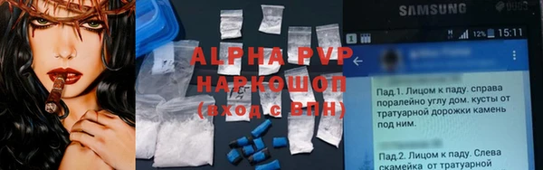 прущие грибы Дмитриев
