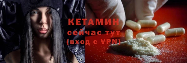прущие грибы Дмитриев