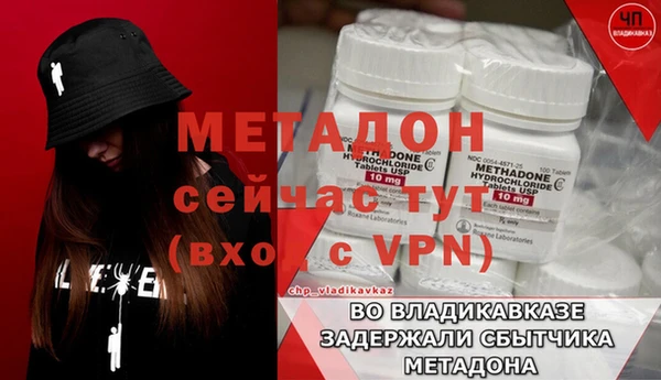 прущие грибы Дмитриев