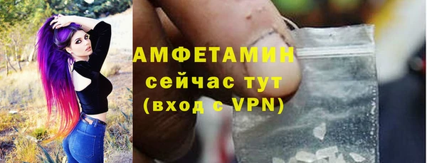 прущие грибы Дмитриев