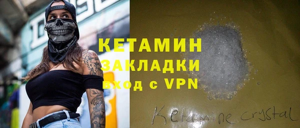 прущие грибы Дмитриев