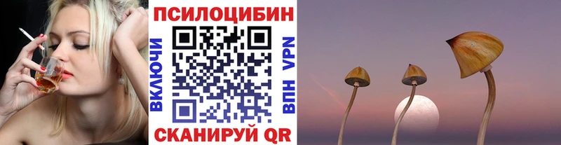 даркнет сайт  Приморск  Галлюциногенные грибы Psilocybe 